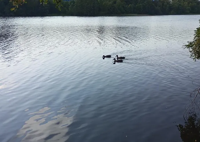 Art Apartament Sillamäe